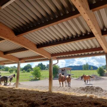 Bild: Stall in  Weßling