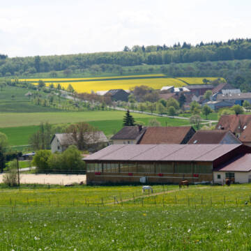 Bild: Stall in  Pülfringen