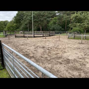 Bild: Stall in  Rees