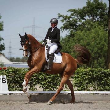 Bild: Service in  Neustadt an der Weinstraße