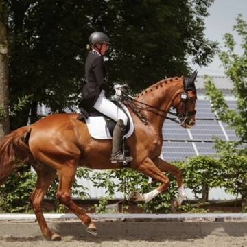 Bild: Service in  Neustadt an der Weinstraße