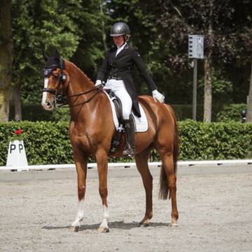 Bild: Service in  Neustadt an der Weinstraße