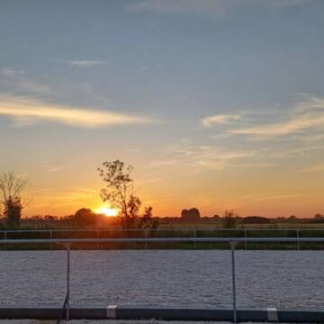 Bild: Stall in  Gundelfingen a.d.Donau