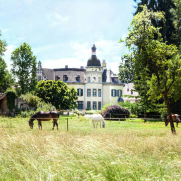 Bild: Stall in  Andernach