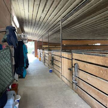 Stalltrakt mit 6 Boxen