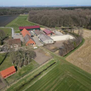 Bild: Stall in  Ostbevern