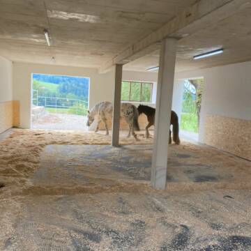 Bild: Stall in  Amerang