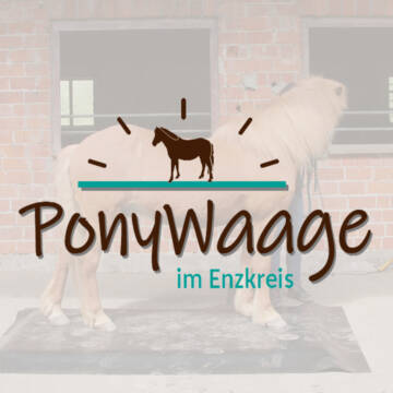 Bild: Service in  Wiernsheim