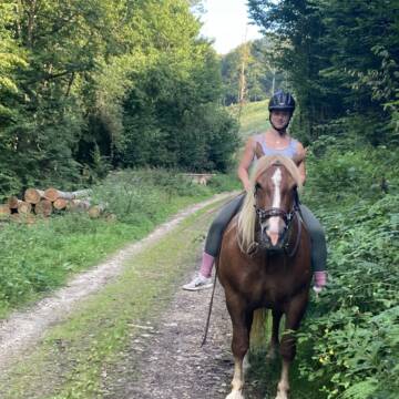 Bild: Reitbeteiligung in  Pillig