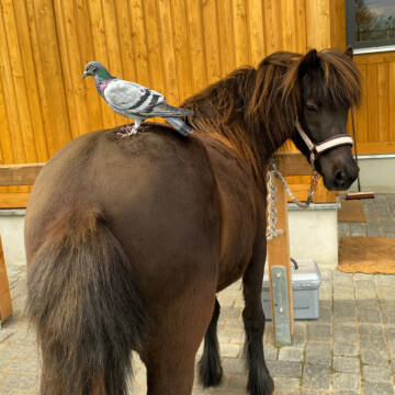 Bild: Stellenmarkt in  Pritzwalk