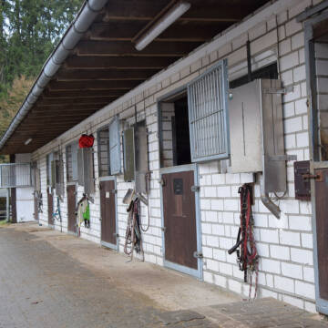 Bild: Stall in  Breitenbach