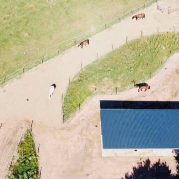 Bild: Stall in  Mühlbach