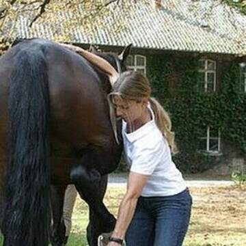 Bild: Service in  Bedburg