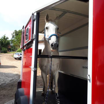 Bild: Service in  Nürnberg