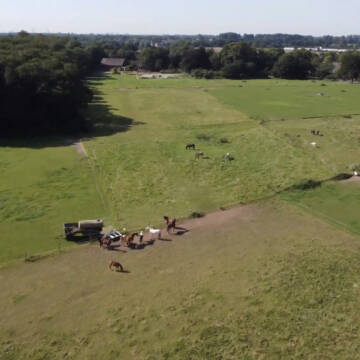 Bild: Stall in  Rahm