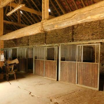 Helle, geräumige Boxen