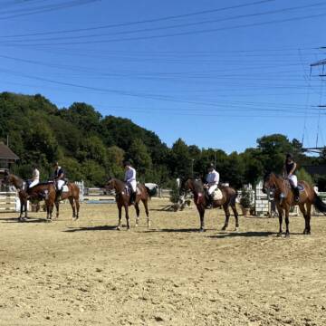 Bild: Stall in  Leichlingen