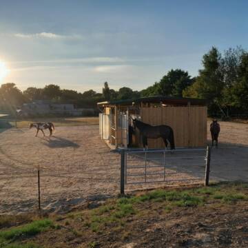 Bild: Stall in  Jersbek