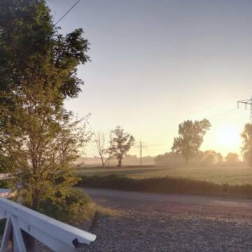 Bild: Stall in  Burgdorf