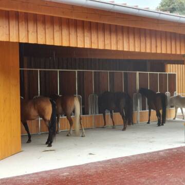 Bild: Stall in  Bruckmühl