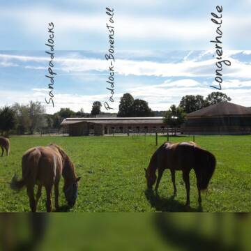 Bild: Stall in  Bruckmühl