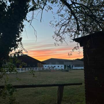 Blick auf den Stall inkl Halle