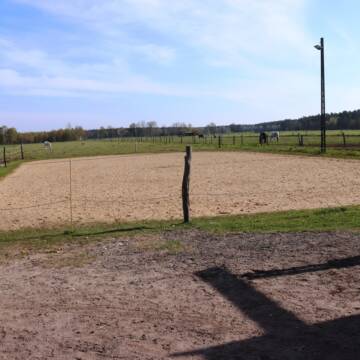 Bild: Stall in  Vierhöfen