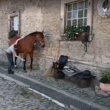 Bild: Stall in  Emmerthal