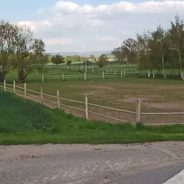 Bild: Stall in  Emmerthal