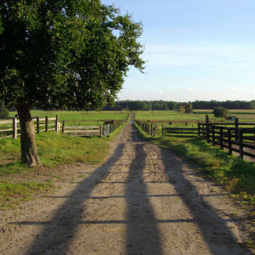 Bild: Stall in  Hagen im Bremischen