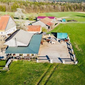 Bild: Stall in  Bernhardswald