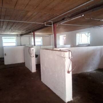 Bild: Stall in  Haarbach