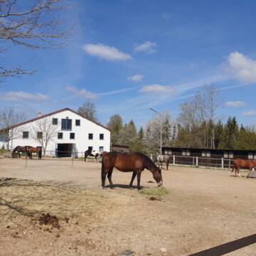 Bild: Stall in  Adlkofen