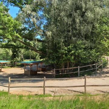 Aktivstall mit Heuraufen