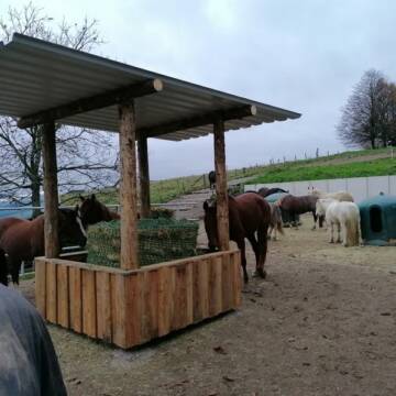 Bild: Stall in  Lindlar