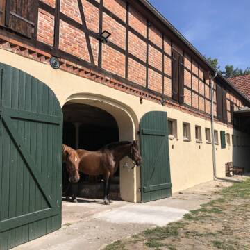 Bild: Stall in  Niedere Börde