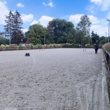 Bild: Stall in  Moorburg