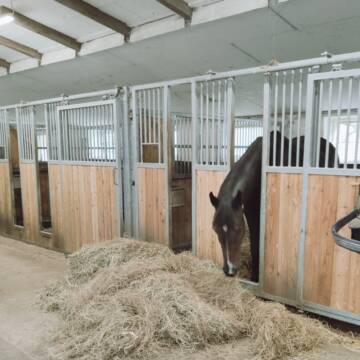 Bild: Stall in  Moorburg