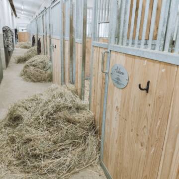 Bild: Stall in  Moorburg