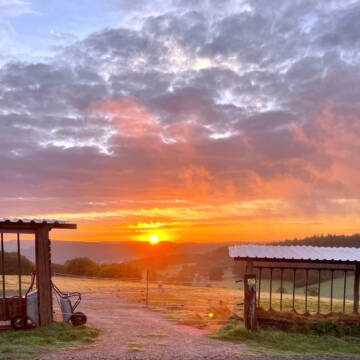 Bild: Stall in  Münchweiler an der Alsenz