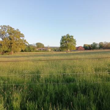 Bild: Stall in  Stadthagen