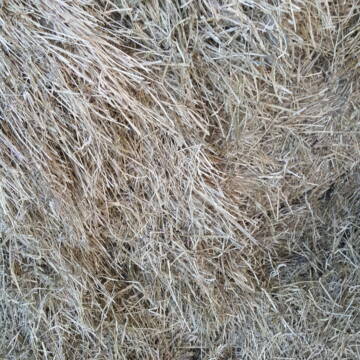 Bild: Futter & Einstreu in  Mehlbach