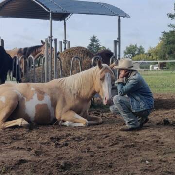 Bild: Stall in  Spreenhagen
