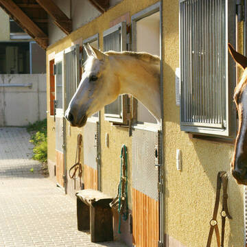 Bild: Stall in  Etzelwang