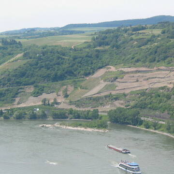 Bild: Service in  Kaub