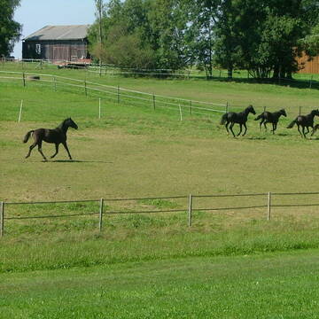 Bild: Service in  Rehau