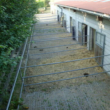 Bild: Stall in  Stadecken-Elsheim