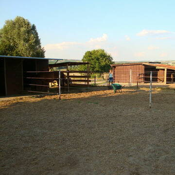 Bild: Stall in  Stadecken-Elsheim