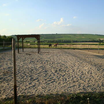 Bild: Stall in  Stadecken-Elsheim