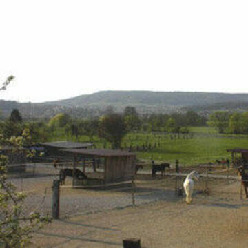 Bild: Stall in  Kirchehrenbach